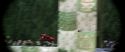 CS-Potterish_03752.jpg