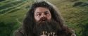 CS-Potterish_03754.jpg