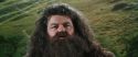 CS-Potterish_03758.jpg