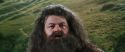 CS-Potterish_03760.jpg