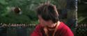 CS-Potterish_03803.jpg