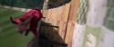 CS-Potterish_03820.jpg