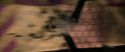 CS-Potterish_03840.jpg