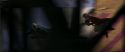 CS-Potterish_03843.jpg