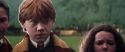 CS-Potterish_03984.jpg