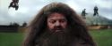 CS-Potterish_03986.jpg
