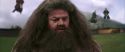 CS-Potterish_04015.jpg
