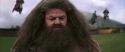 CS-Potterish_04016.jpg