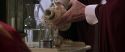 CS-Potterish_04041.jpg