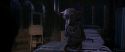 CS-Potterish_04100.jpg