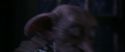 CS-Potterish_04138.jpg
