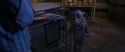 CS-Potterish_04161.jpg