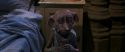 CS-Potterish_04195.jpg