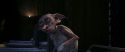 CS-Potterish_04205.jpg
