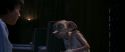 CS-Potterish_04208.jpg