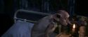 CS-Potterish_04227.jpg