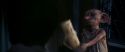 CS-Potterish_04230.jpg