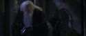 CS-Potterish_04290.jpg
