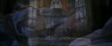 CS-Potterish_04326.jpg