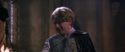 CS-Potterish_04431.jpg