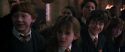 CS-Potterish_04506.jpg