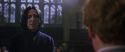 CS-Potterish_04524.jpg