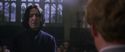 CS-Potterish_04525.jpg