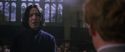 CS-Potterish_04526.jpg