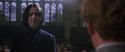 CS-Potterish_04527.jpg