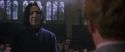 CS-Potterish_04532.jpg
