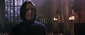 CS-Potterish_04546.jpg