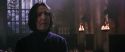 CS-Potterish_04548.jpg