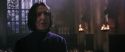 CS-Potterish_04549.jpg
