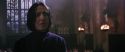 CS-Potterish_04550.jpg