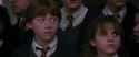CS-Potterish_04551.jpg