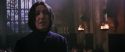 CS-Potterish_04552.jpg