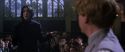CS-Potterish_04558.jpg