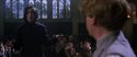 CS-Potterish_04559.jpg