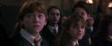 CS-Potterish_04607.jpg