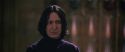 CS-Potterish_04611.jpg