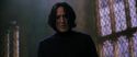 CS-Potterish_04637.jpg