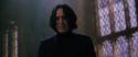 CS-Potterish_04638.jpg