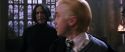 CS-Potterish_04657.jpg