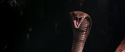 CS-Potterish_04711.jpg
