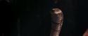 CS-Potterish_04715.jpg