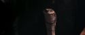 CS-Potterish_04716.jpg