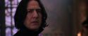 CS-Potterish_04717.jpg