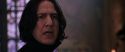CS-Potterish_04718.jpg