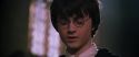 CS-Potterish_04725.jpg