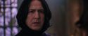 CS-Potterish_04738.jpg
